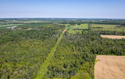 Photo 18 at 2551 3rd Line, Churchill, Innisfil