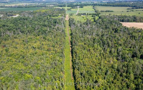 Photo 19 at 2551 3rd Line, Churchill, Innisfil