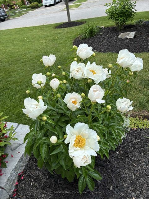 Photo 43 at 62 Rafton Street, Newcastle, Clarington