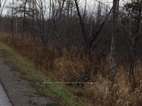 Photo 4 at Lot#10 Mccowan Road, Baldwin, Georgina
