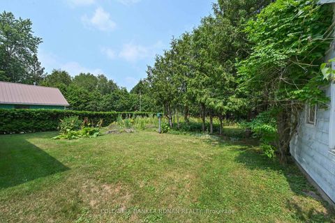 Photo 14 at 144 Church Street, Schomberg, King
