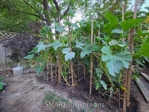 Photo 32 at 482 Ruth Avenue, Newtonbrook East, Toronto