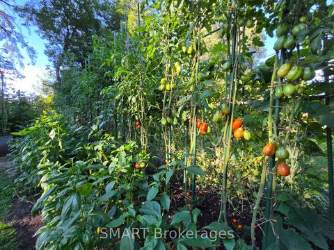 Photo 33 at 482 Ruth Avenue, Newtonbrook East, Toronto