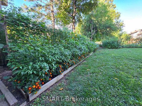 Photo 34 at 482 Ruth Avenue, Newtonbrook East, Toronto