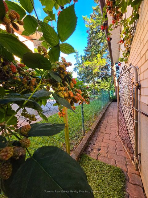 Photo 44 at 482 Ruth Avenue, Newtonbrook East, Toronto