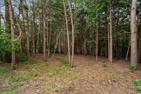 Photo 34 at 46 Birkhall Place, Shore, Barrie