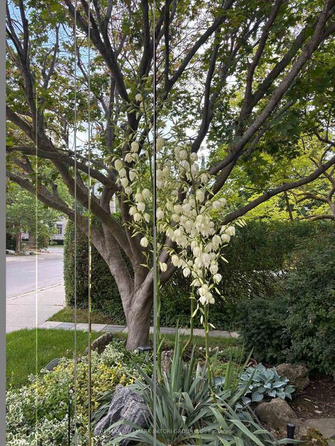 Photo 33 at 166 Old Orchard Grove, Lawrence Park North, Toronto