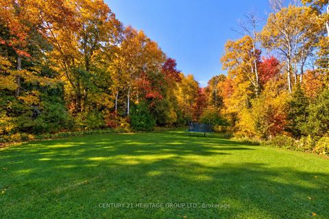 Photo 30 at 167 Brule Trail, Pottageville, King