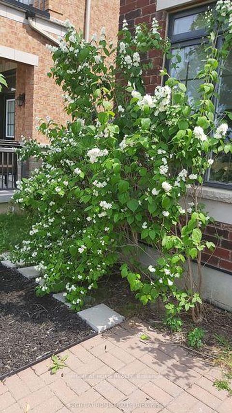 Photo 20 at 25 Sibella Way, Vellore Village, Vaughan