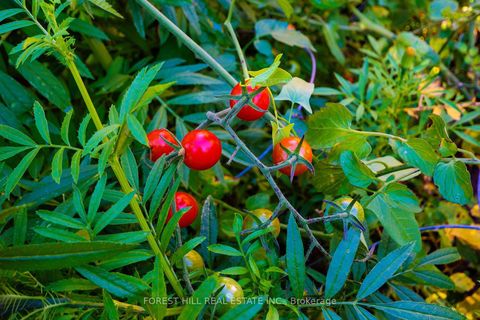 Photo 41 at 32 Stamford Square N, Birchmount, Toronto