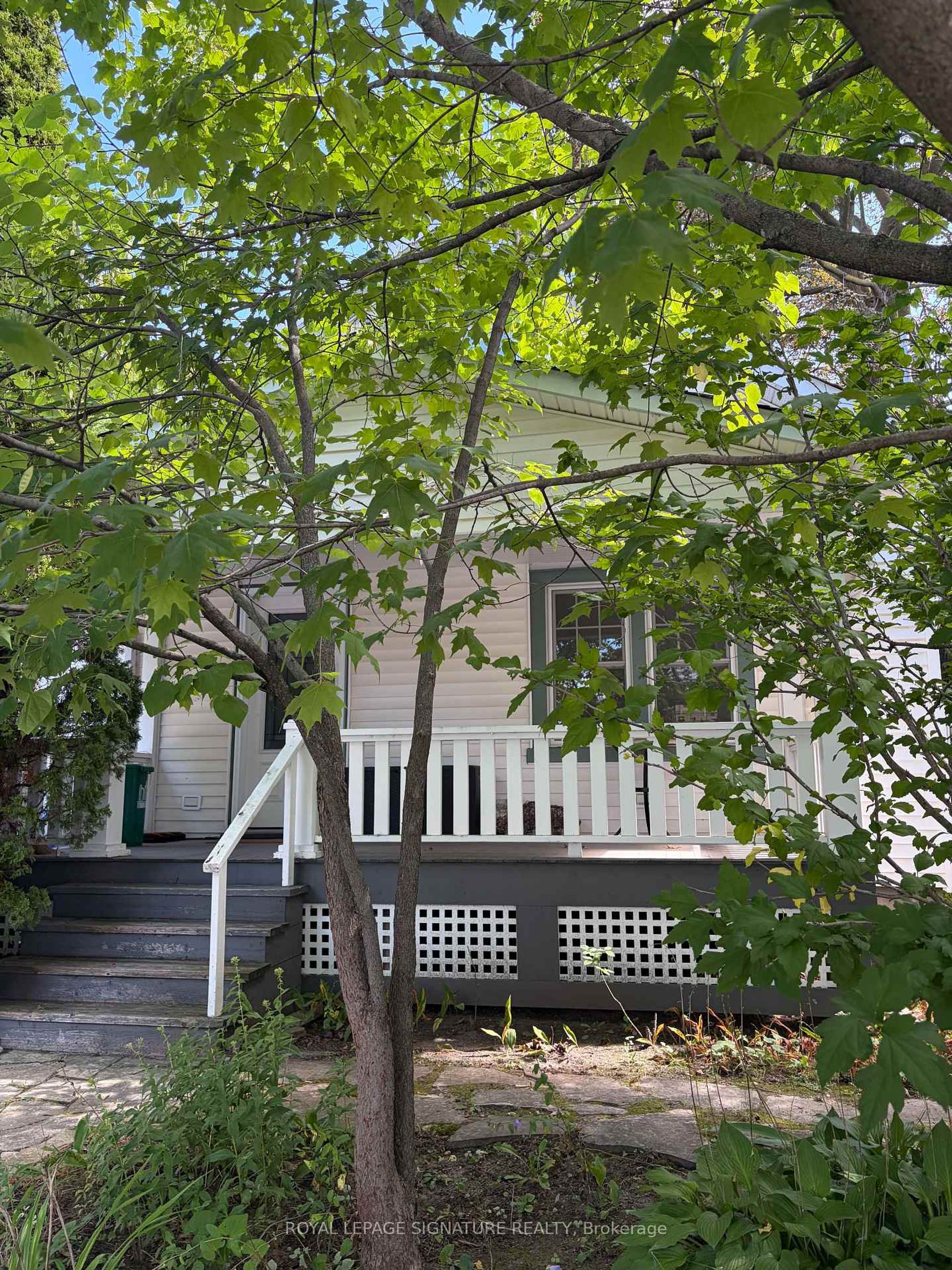 121 Wells Street, Aurora Village, Aurora photo number 2