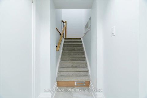 Photo 37 at 20 Castille Avenue, Maryvale, Toronto
