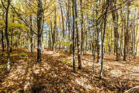 Photo 34 at 3257 LIAH Lane, Rural Innisfil, Innisfil