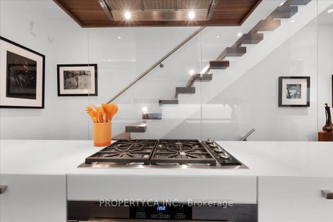 Photo 8 at 244 Manning Avenue, Bellwoods, Toronto