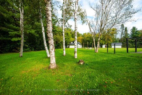 Photo 44 at 2570 Creemore Avenue, Rural Clearview, Clearview