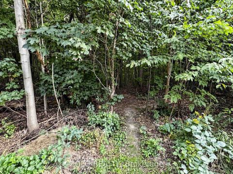 Photo 43 at 247 Summeridge Drive, Patterson, Vaughan