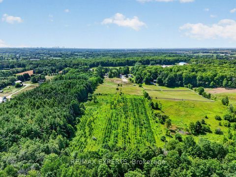 Photo 4 at 5502 16th Side Road, Schomberg, King