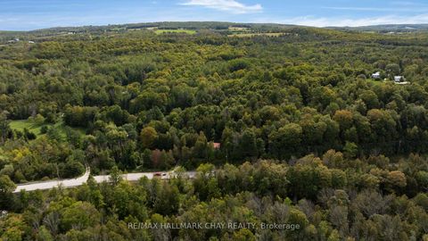 Photo 29 at 8051 County Road 9, Creemore, Clearview