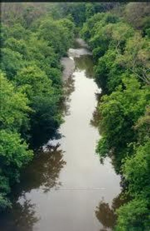 Photo 21 at 128 Holmcrest Trail, Centennial Scarborough, Toronto