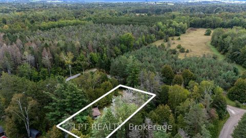 Photo 19 at 36 Nurme Avenue, Baldwin, Georgina
