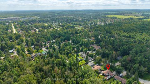 Photo 35 at 3211 Cowan Avenue, Rural Innisfil, Innisfil