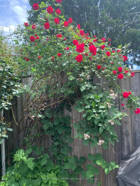 Photo 34 at 211 Blackthorn Avenue, Pellam Park, Toronto
