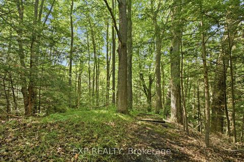 Photo 34 at 1785 Davis Drive W, Rural King, King