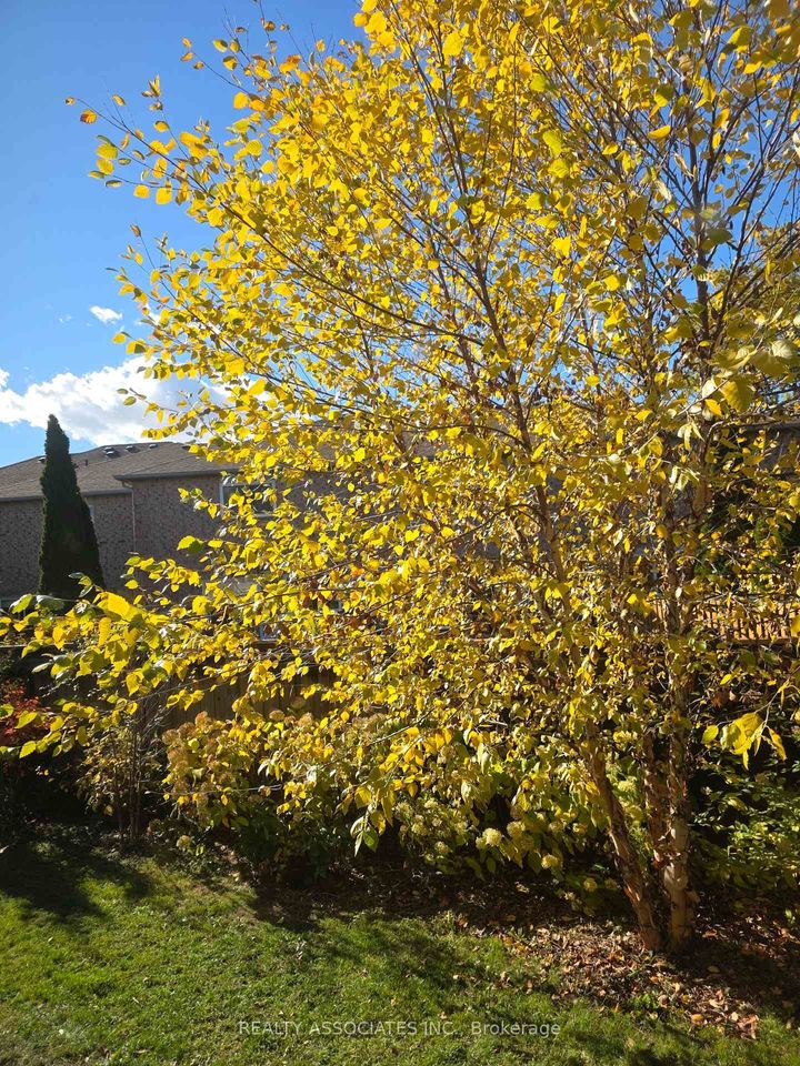 Photo 21 at 128 Coalbrook Court, East Woodbridge, Vaughan