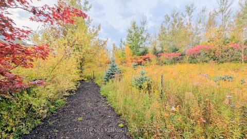 Photo 35 at 365 Old Colony Road, Oak Ridges Lake Wilcox, Richmond Hill