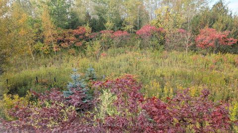 Photo 36 at 365 Old Colony Road, Oak Ridges Lake Wilcox, Richmond Hill