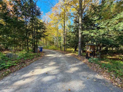 Photo 44 at 13280 7th Concession, Rural King, King