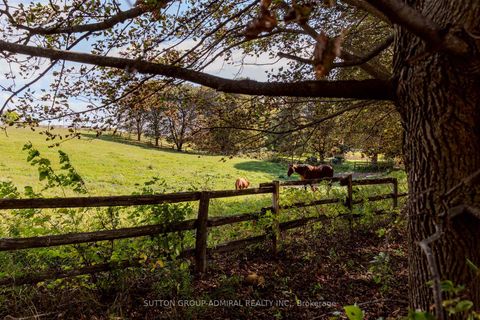 Photo 34 at 8400 19th Sideroad, Schomberg, King