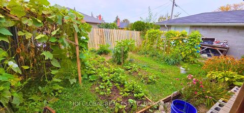 Photo 22 at 11 Stone Court, Humbermede, Toronto