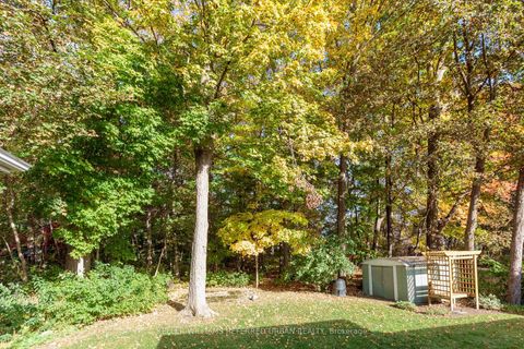 Photo 21 at 71 Agincourt Drive, Malvern West, Toronto