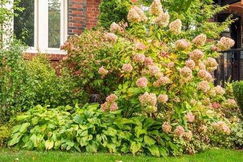 Photo 1 at 258 Deloraine Avenue, Lawrence Park North, Toronto