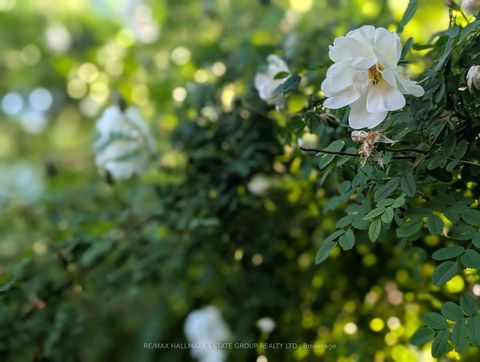 Photo 43 at 42 Fern Avenue, Roncesvalles, Toronto