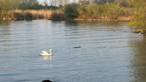 Photo 23 at 3901 - 33 Shore Breeze Drive, Mimico, Toronto