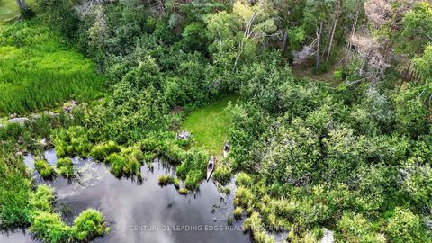 Photo 46 at 23233 Miles Road, Baldwin, Georgina